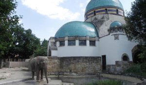 maison des éléphants